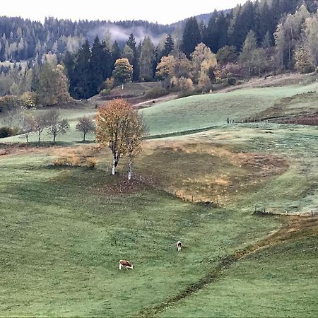 Bio Schartenhof Sankt Johann im Pongau Dış mekan fotoğraf