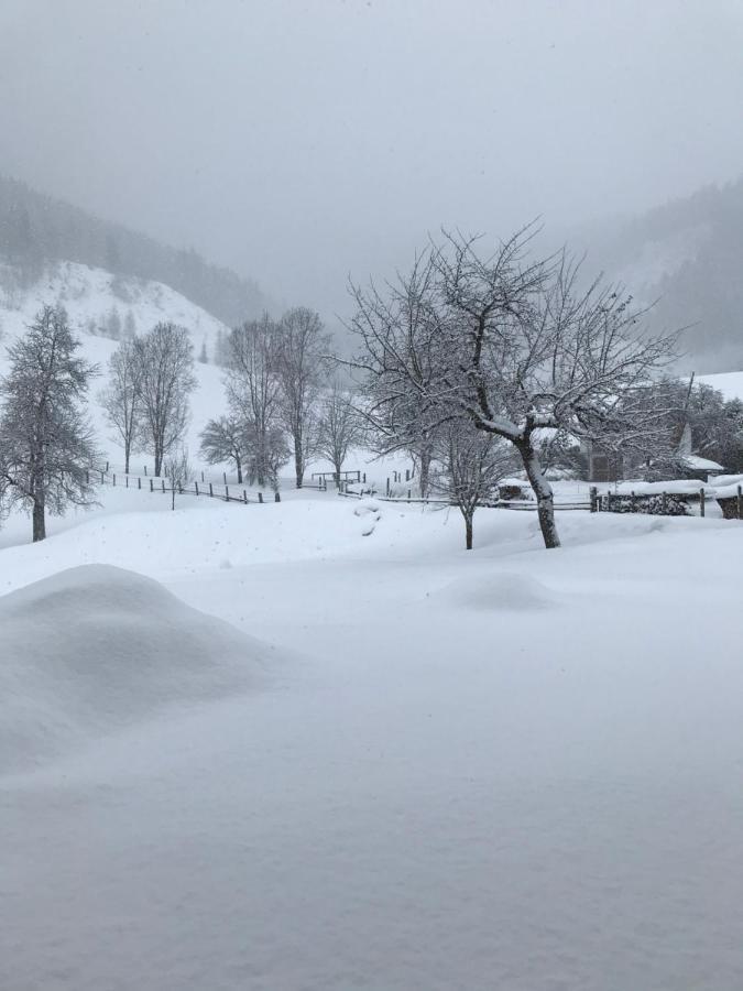 Bio Schartenhof Sankt Johann im Pongau Dış mekan fotoğraf