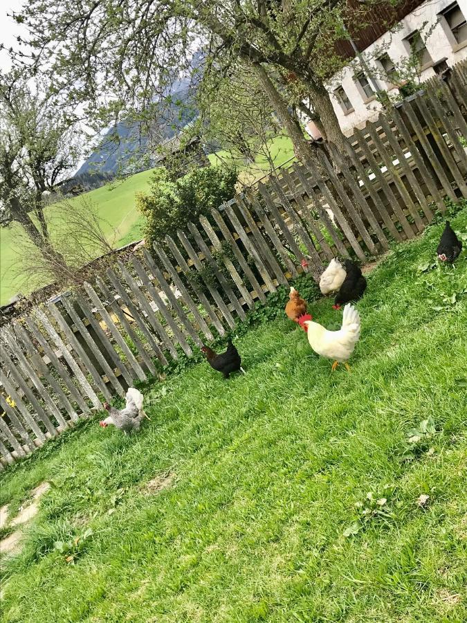 Bio Schartenhof Sankt Johann im Pongau Dış mekan fotoğraf