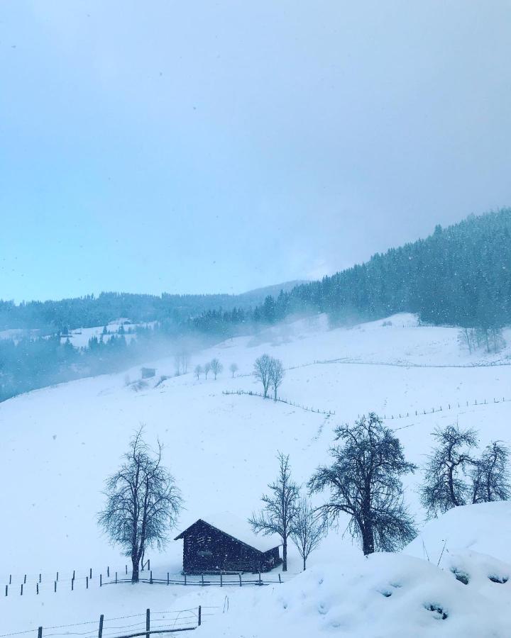Bio Schartenhof Sankt Johann im Pongau Dış mekan fotoğraf