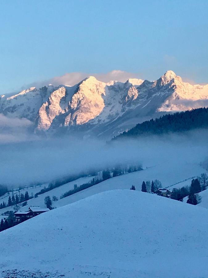 Bio Schartenhof Sankt Johann im Pongau Dış mekan fotoğraf