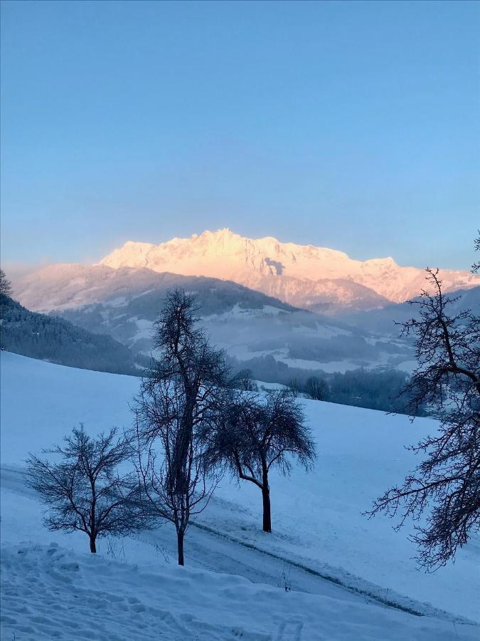 Bio Schartenhof Sankt Johann im Pongau Dış mekan fotoğraf