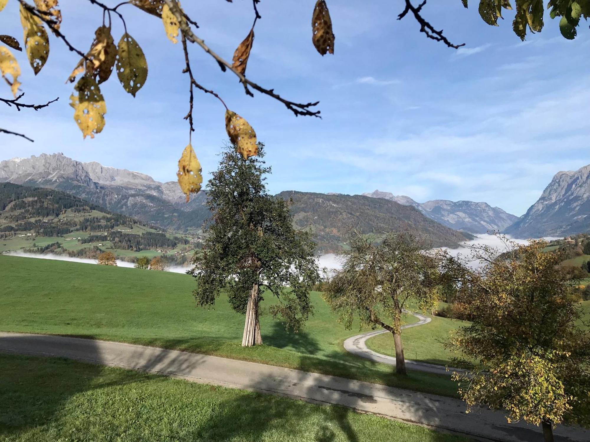 Bio Schartenhof Sankt Johann im Pongau Dış mekan fotoğraf