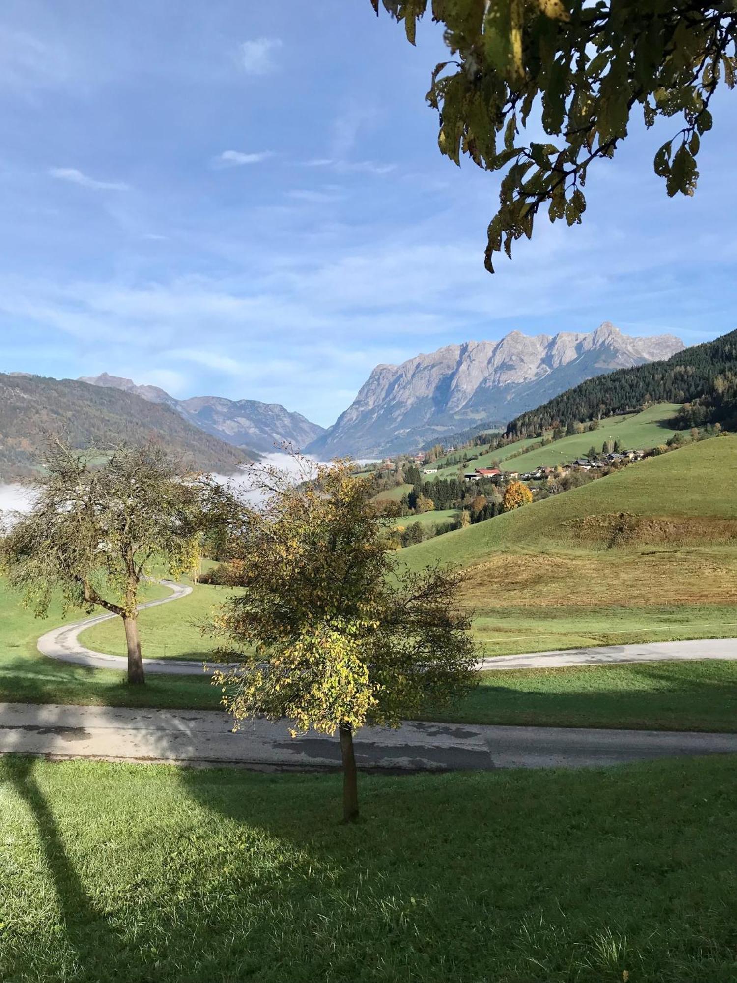 Bio Schartenhof Sankt Johann im Pongau Dış mekan fotoğraf